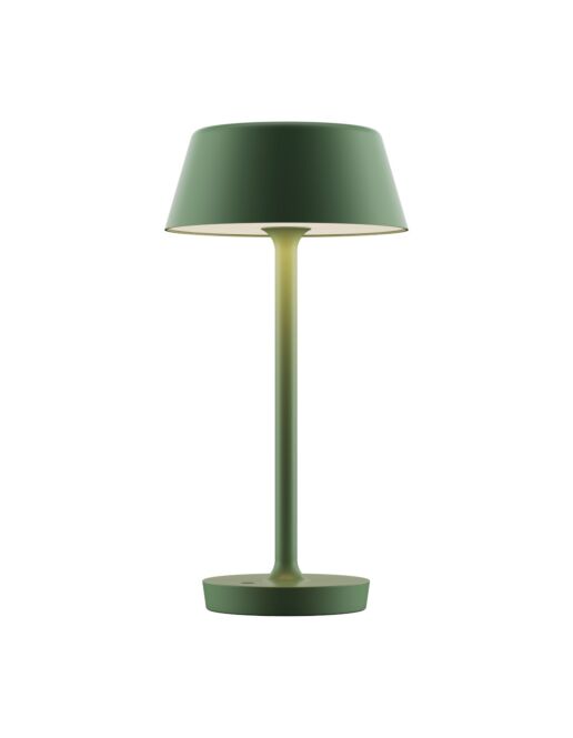 ANTIDARK-Companion-1-Big-T2-Mat-Green-2-397-2-20.jpg