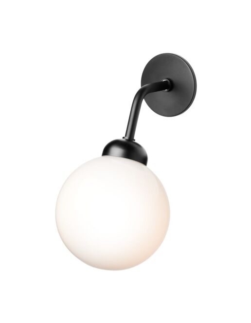 Apiales-Wall-Black-on2-min.jpg