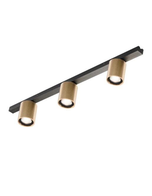 Focus-L900-Brass-LP-1.jpg