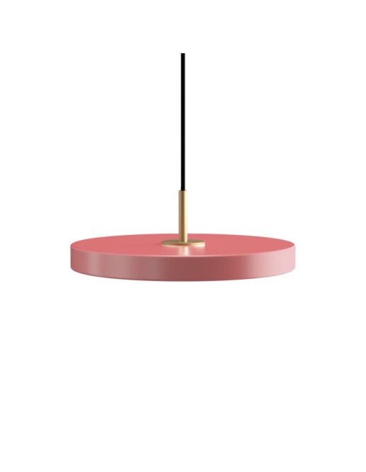 UMAGE-Asteria-Plus-Mini-Rose-PRODUKT.jpg
