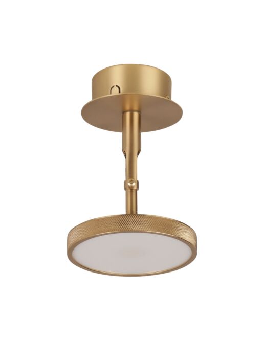 UMAGE-packshot-Asteria-Spot-polished-Brass-1.jpg