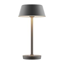 ANTIDARK-Companion-Big-T2-Mat-Grey-2-397-2-11-1.jpg