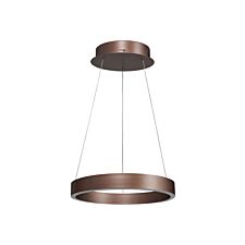 ANTIDARK-Gloria-Oe40-coffee.jpg