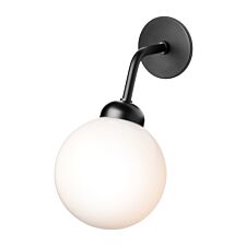 Apiales-Wall-Black-on2-min.jpg