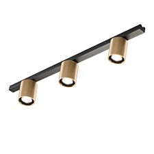 Focus-L900-Brass-LP-1.jpg