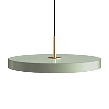 UMAGE-Asteria-Plus-Medium-Olive-PRODUKT.jpg