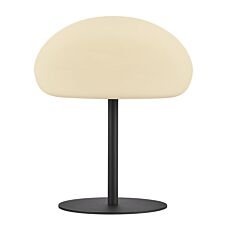 sponge-34.jpg