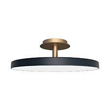 Asteria UP Plus Large - Anthracite