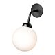 Apiales-Wall-Black-on2-min.jpg