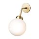 Apiales-Wall-Brass-on2-min.jpg