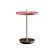 Asteria-Move-Messing-Rose-Produkt.jpg