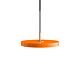 Asteria_mini_orange1.jpg