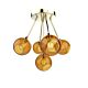 Ballroom Molecule Amber