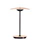 Ginger 20 Bordlampe Eg
