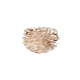 eos-micro-lysebrun.png