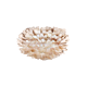 eos-mini-lysebrun.png