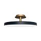 umage_asteria_up_loftlampe_antracit.jpg