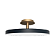 Asteria UP Plus Large - Anthracite