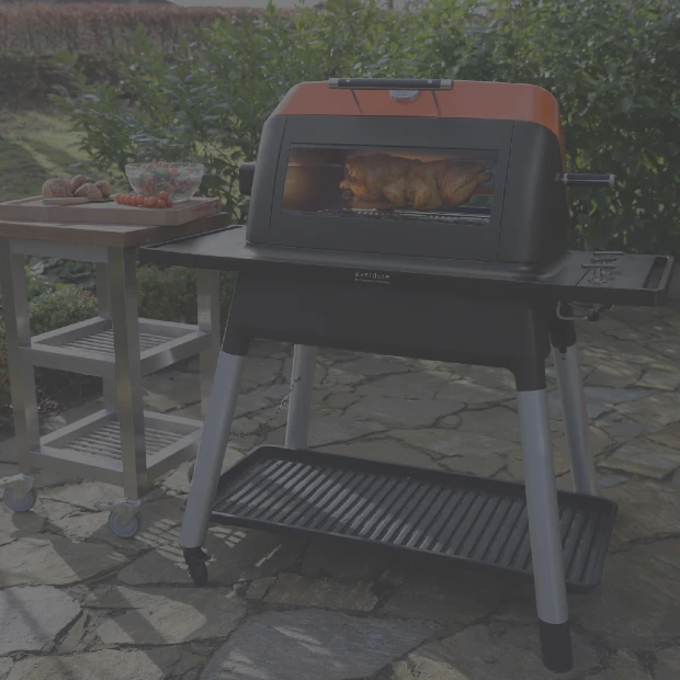 Skarpe tilbud på kul- og gasgrill online til Black Friday